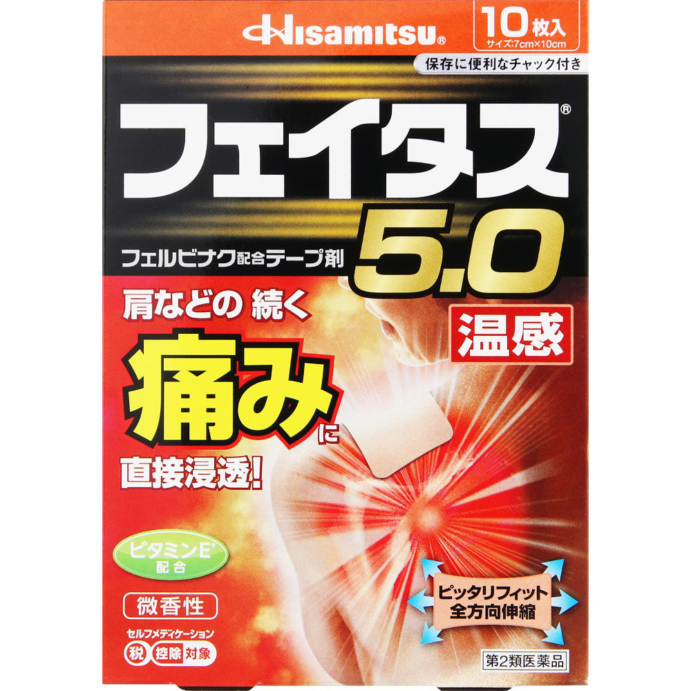 Hisamitsu Feitas 5.0 Warming Pain Patch